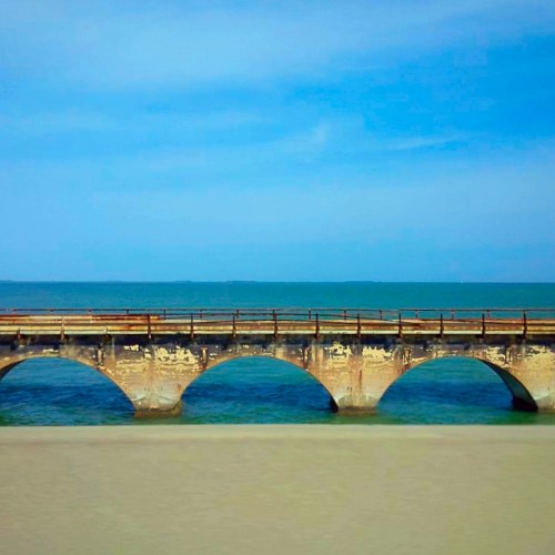 c896bc66-3c9f-4bd4-aa24-7f6d731f7634_zps5eics4wk