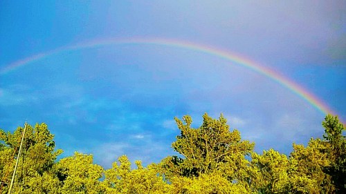 dbaa5d9b-764a-4364-878a-e378d48de433_zpssp3gcfcd