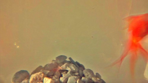 img_20161111_171014_hdr_edit_edit