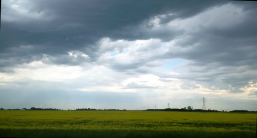 IMG_20170704_094313_edit_edit