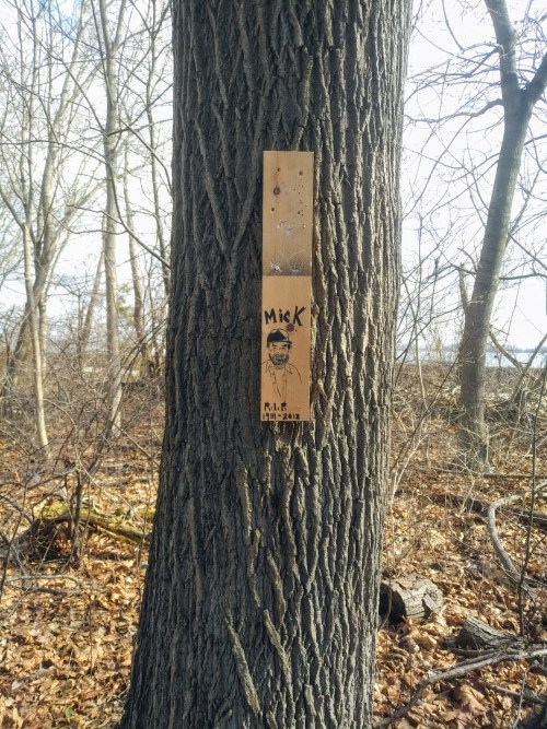 IMG_20180228_1248519